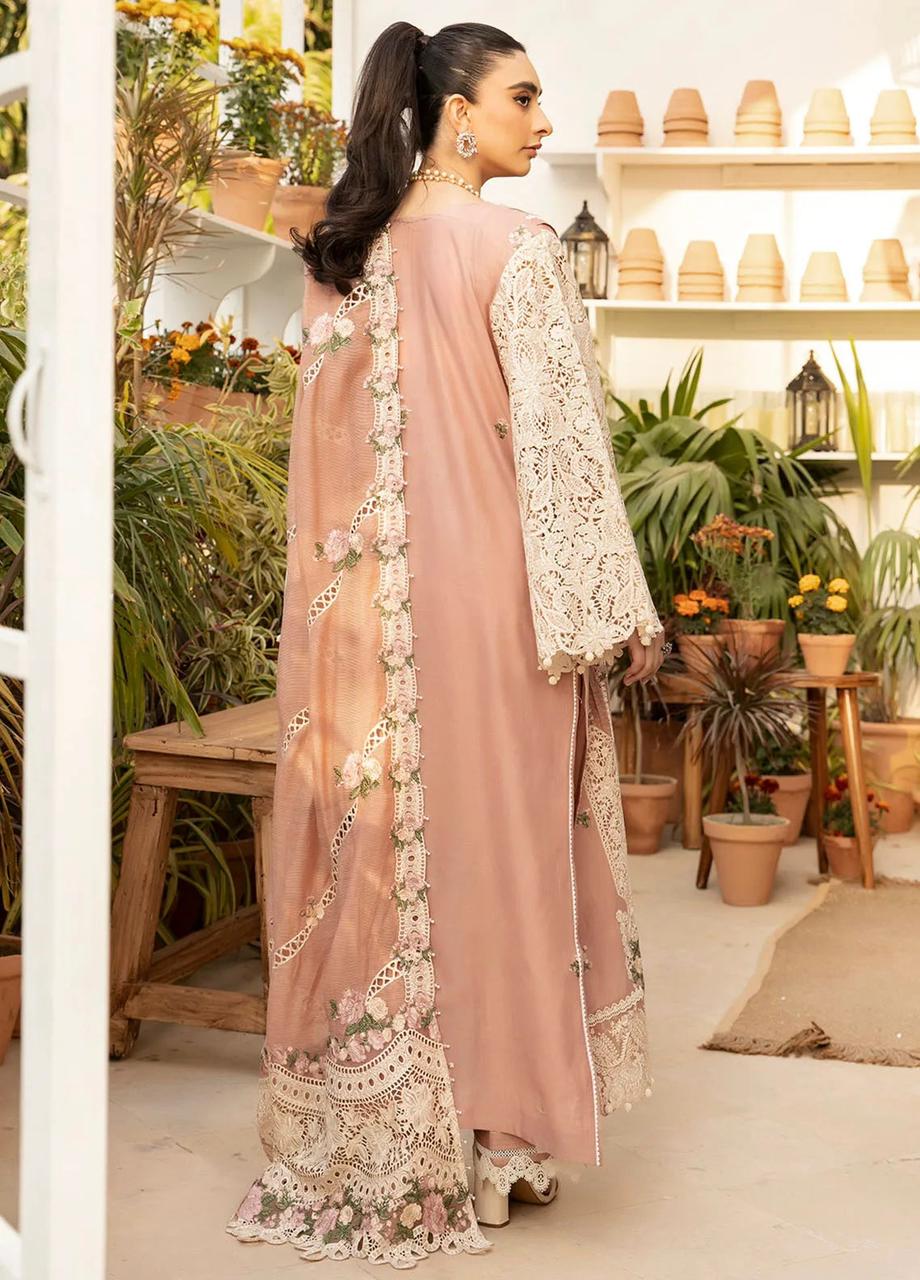 ELAF – Chickenkari Collection